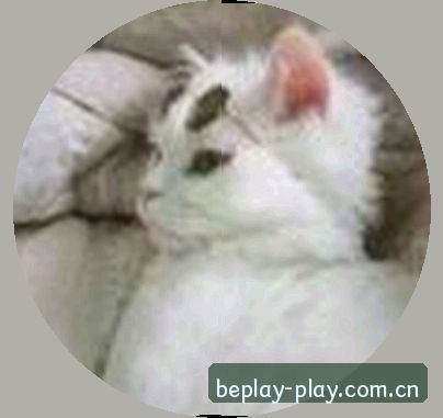 黄丽
